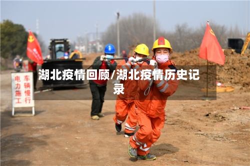 湖北疫情回顾/湖北疫情历史记录-第2张图片