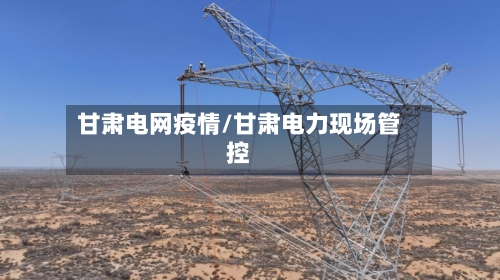 甘肃电网疫情/甘肃电力现场管控-第2张图片