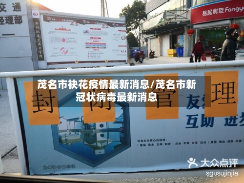 茂名市袂花疫情最新消息/茂名市新冠状病毒最新消息-第2张图片