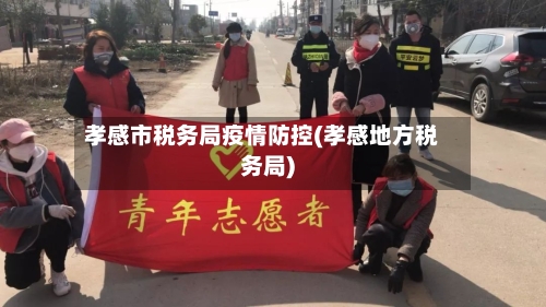 孝感市税务局疫情防控(孝感地方税务局)-第3张图片