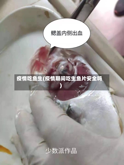 疫情吃鱼生(疫情期间吃生鱼片安全吗)-第3张图片