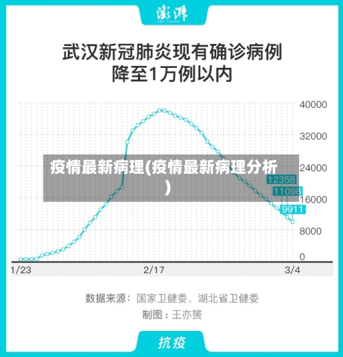 疫情最新病理(疫情最新病理分析)-第2张图片