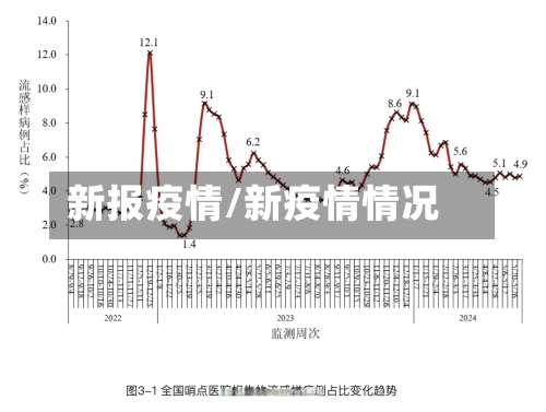 新报疫情/新疫情情况-第1张图片