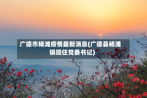 广德市杨滩疫情最新消息(广德县杨滩镇现任党委书记)-第1张图片