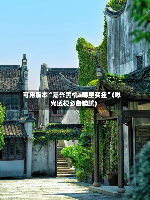 可用版本“嘉兴黑桃a哪里买挂	”(曝光透视必备猫腻)-第2张图片