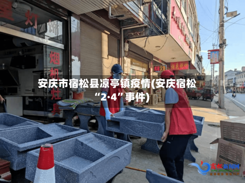 安庆市宿松县凉亭镇疫情(安庆宿松“2·4”事件)-第2张图片