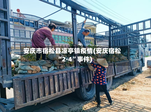 安庆市宿松县凉亭镇疫情(安庆宿松“2·4	”事件)-第1张图片