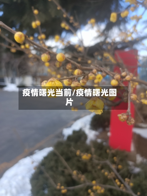疫情曙光当前/疫情曙光图片-第1张图片