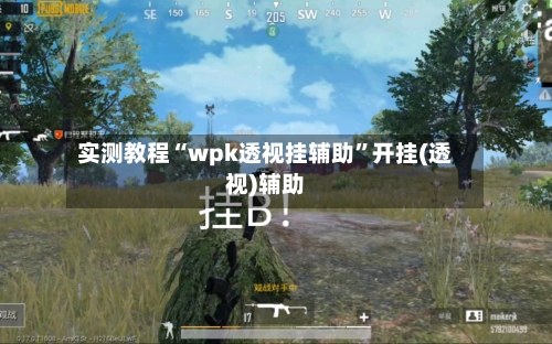 实测教程“wpk透视挂辅助	”开挂(透视)辅助-第2张图片