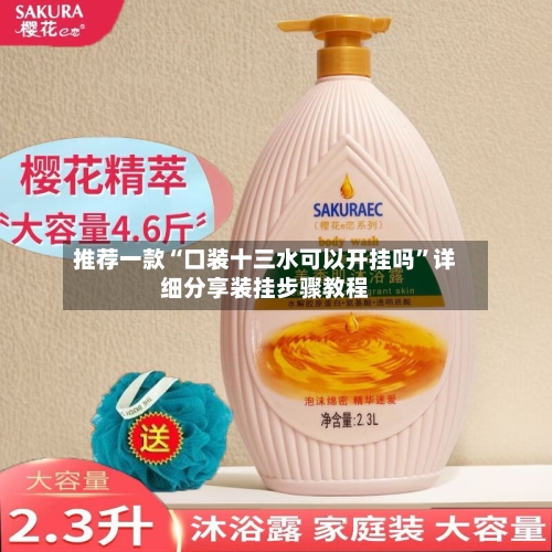 推荐一款“口装十三水可以开挂吗”详细分享装挂步骤教程-第3张图片