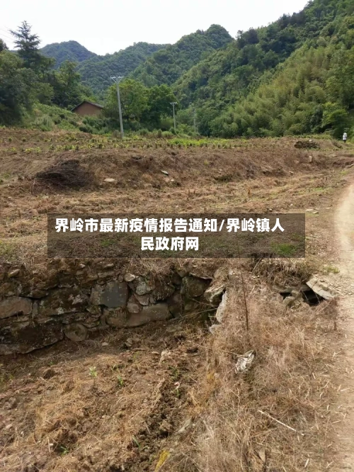 界岭市最新疫情报告通知/界岭镇人民政府网-第2张图片