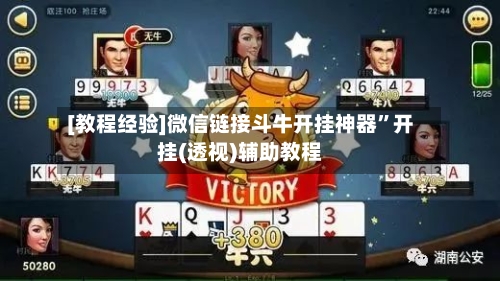 [教程经验]微信链接斗牛开挂神器”开挂(透视)辅助教程-第2张图片