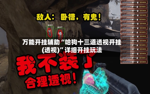 万能开挂辅助“哈狗十三道透视开挂(透视)”详细开挂玩法-第2张图片
