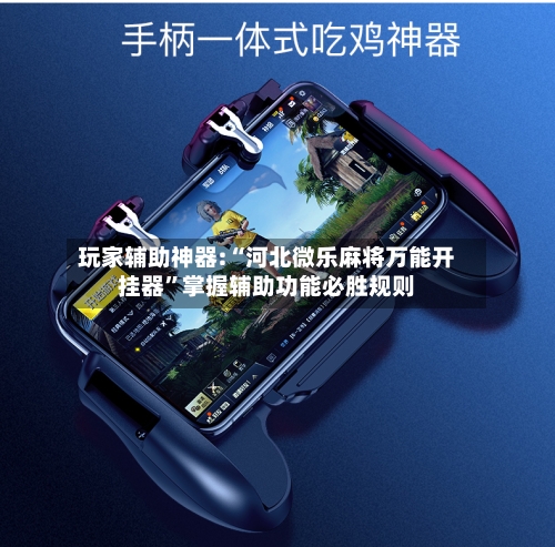 玩家辅助神器:“河北微乐麻将万能开挂器	”掌握辅助功能必胜规则-第1张图片