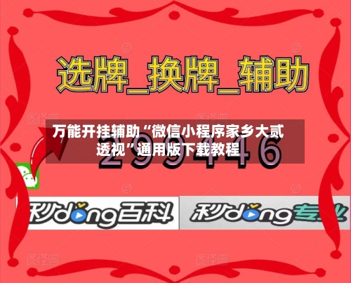 万能开挂辅助“微信小程序家乡大贰透视	”通用版下载教程-第1张图片