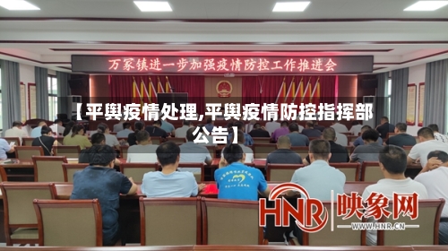 【平舆疫情处理,平舆疫情防控指挥部公告】-第3张图片