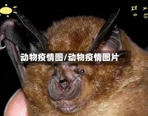 动物疫情图/动物疫情图片-第2张图片