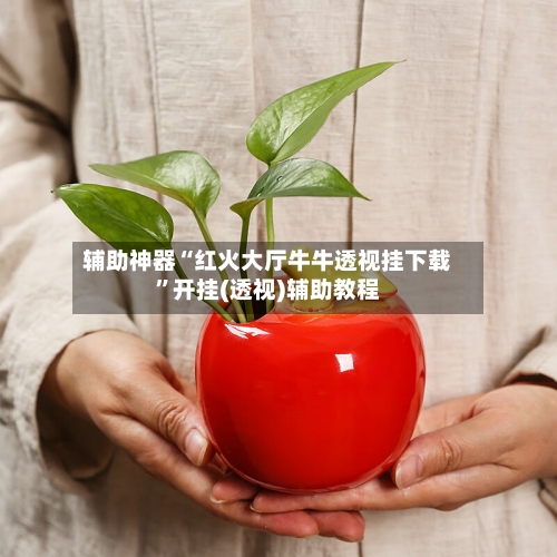 辅助神器“红火大厅牛牛透视挂下载”开挂(透视)辅助教程-第2张图片