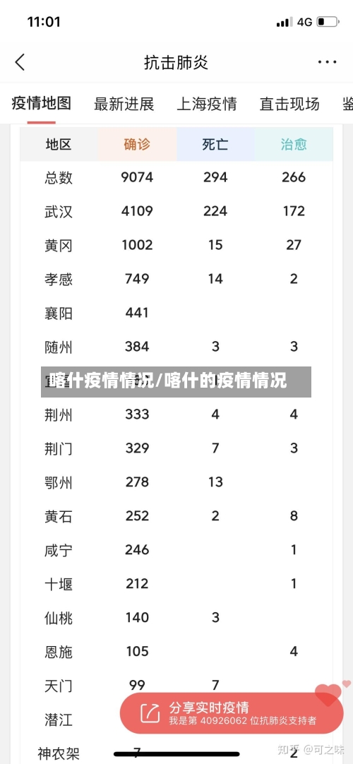 喀什疫情情况/喀什的疫情情况-第2张图片