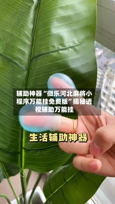 辅助神器“微乐河北麻将小程序万能挂免费版”揭秘透视辅助万能挂-第1张图片