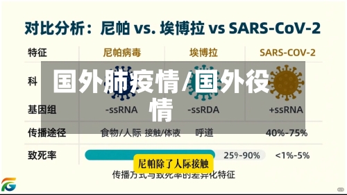 国外肺疫情/国外役情-第2张图片