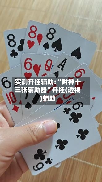 实测开挂辅助:“财神十三张辅助器”开挂(透视)辅助-第1张图片