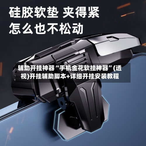 辅助开挂神器“手机金花软挂神器	”(透视)开挂辅助脚本+详细开挂安装教程-第1张图片