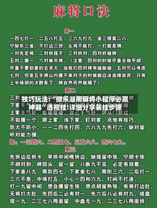技巧玩法:“微乐湖南麻将小程序必赢神器”透视挂!详细分享装挂步骤-第2张图片