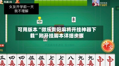 可用版本“微乐贵阳麻将开挂神器下载	”附开挂脚本详细步骤-第3张图片
