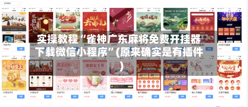 实操教程“雀神广东麻将免费开挂器下载微信小程序	”(原来确实是有插件)-第1张图片