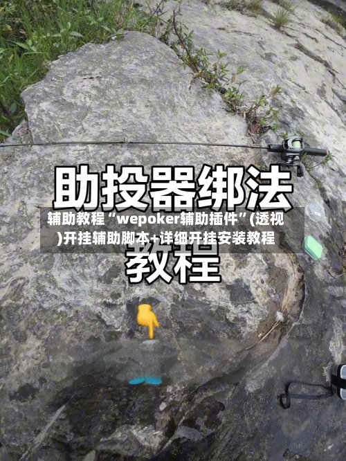 辅助教程“wepoker辅助插件	”(透视)开挂辅助脚本+详细开挂安装教程-第1张图片