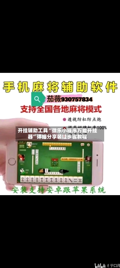 开挂辅助工具“微乐小程序万能开挂器	”详细分享装挂步骤教程-第1张图片