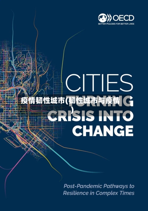 疫情韧性城市(韧性城市与疫情)-第1张图片