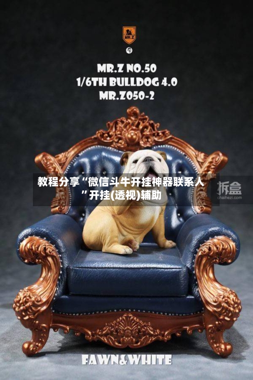 教程分享“微信斗牛开挂神器联系人”开挂(透视)辅助-第1张图片