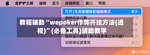 教程辅助“wepoker作弊开挂方法(透视)”(必备工具)辅助教学-第1张图片