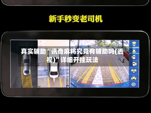 真实辅助“讯奇麻将究竟有辅助吗(透视)”详细开挂玩法-第2张图片