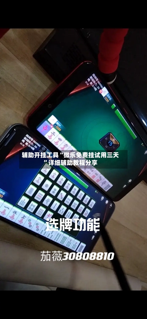 辅助开挂工具“微乐免费挂试用三天	”详细辅助教程分享-第1张图片