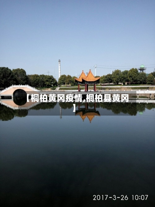 【桐柏黄冈疫情,桐柏县黄冈】-第1张图片