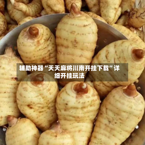 辅助神器“天天麻将川南开挂下载	”详细开挂玩法-第1张图片