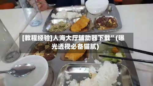 [教程经验]人海大厅辅助器下载	”(曝光透视必备猫腻)-第2张图片