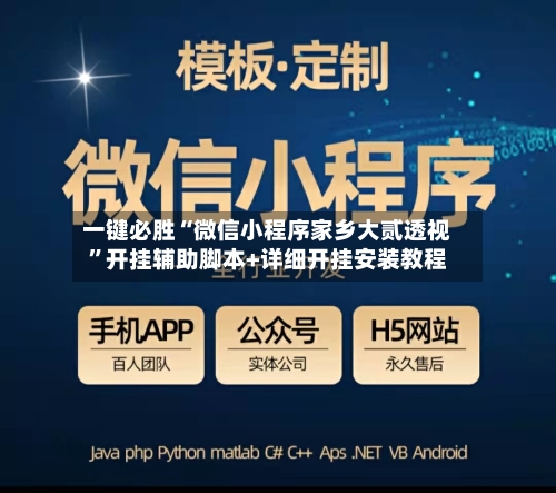 一键必胜“微信小程序家乡大贰透视”开挂辅助脚本+详细开挂安装教程-第3张图片