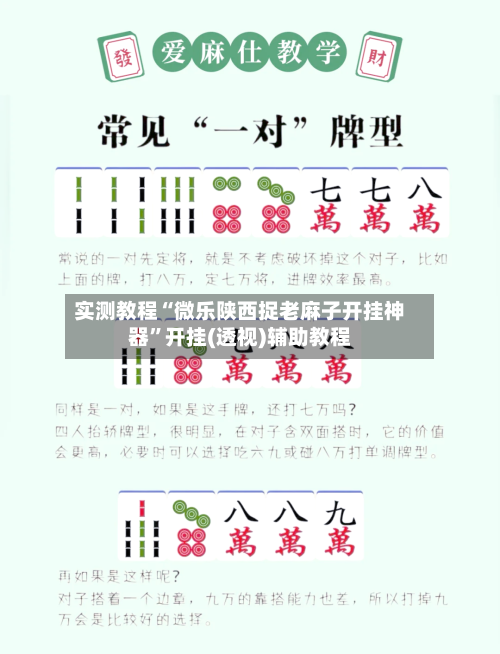 实测教程“微乐陕西捉老麻子开挂神器	”开挂(透视)辅助教程-第1张图片