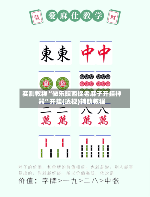 实测教程“微乐陕西捉老麻子开挂神器”开挂(透视)辅助教程-第2张图片