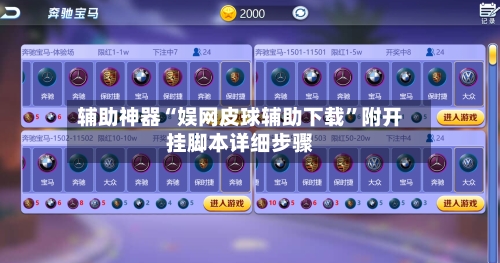 辅助神器“娱网皮球辅助下载”附开挂脚本详细步骤-第2张图片