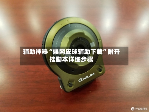 辅助神器“娱网皮球辅助下载	”附开挂脚本详细步骤-第3张图片