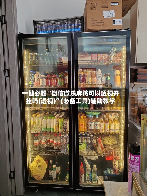 一键必胜“微信微乐麻将可以透视开挂吗(透视)”(必备工具)辅助教学-第3张图片