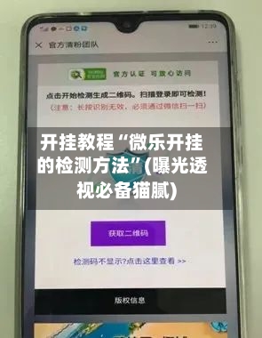 开挂教程“微乐开挂的检测方法	”(曝光透视必备猫腻)-第2张图片