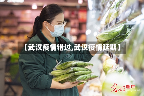 【武汉疫情错过,武汉疫情延期】-第3张图片