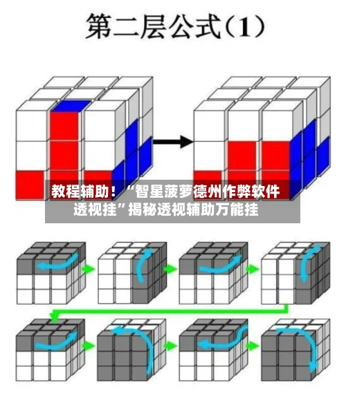 教程辅助！“智星菠萝德州作弊软件透视挂”揭秘透视辅助万能挂-第2张图片