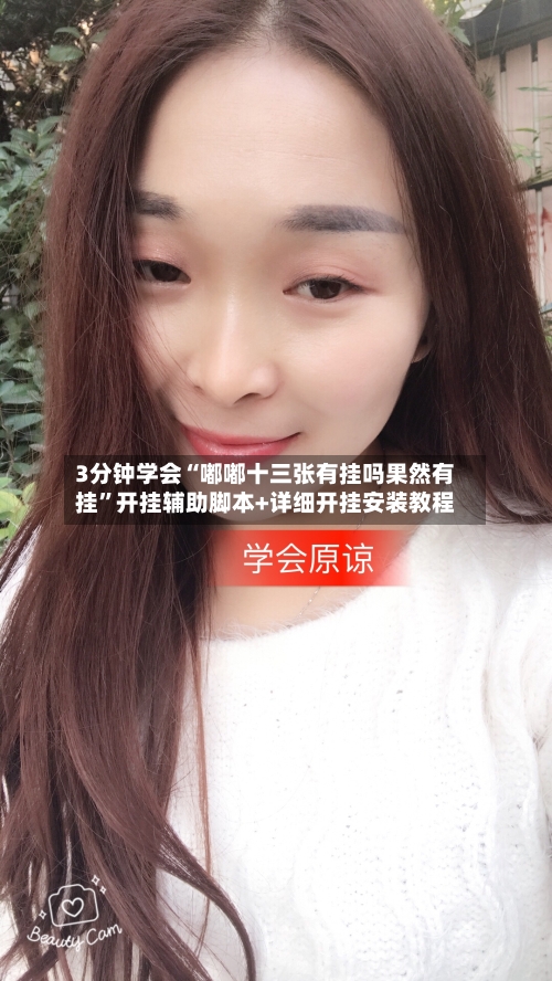 3分钟学会“嘟嘟十三张有挂吗果然有挂	”开挂辅助脚本+详细开挂安装教程-第2张图片